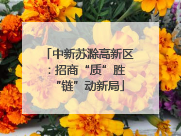 中新苏滁高新区：招商“质”胜 “链”动新局
