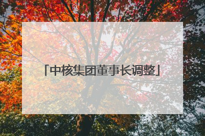 中核集团董事长调整