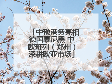 中豫港务亮相德国慕尼黑 中欧班列（郑州）深耕欧亚市场