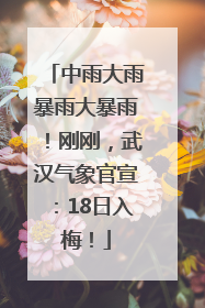中雨大雨暴雨大暴雨！刚刚，武汉气象官宣：18日入梅！