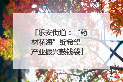 乐安街道：“药材花海”绽希望 产业振兴鼓钱袋