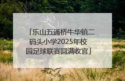 乐山五通桥牛华镇二码头小学2025年校园足球联赛圆满收官