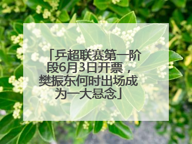 乒超联赛第一阶段6月3日开票，樊振东何时出场成为一大悬念