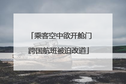 乘客空中欲开舱门 跨国航班被迫改道