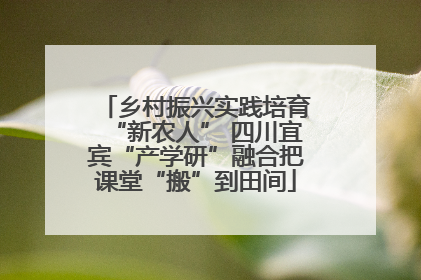 乡村振兴实践培育“新农人” 四川宜宾“产学研”融合把课堂“搬”到田间