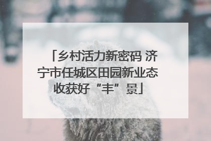 乡村活力新密码 济宁市任城区田园新业态收获好“丰”景