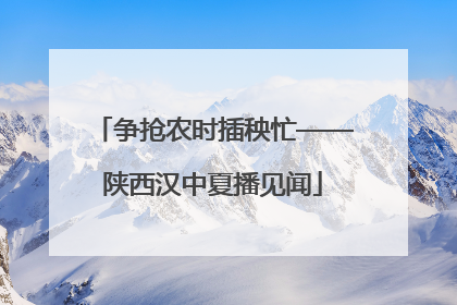 争抢农时插秧忙——陕西汉中夏播见闻
