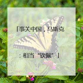 事关中国，马斯克：相当“钦佩”