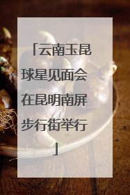云南玉昆球星见面会在昆明南屏步行街举行