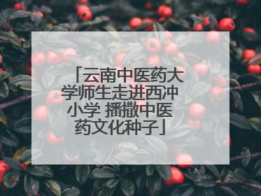 云南中医药大学师生走进西冲小学 播撒中医药文化种子