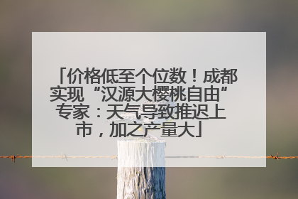 价格低至个位数！成都实现“汉源大樱桃自由” 专家：天气导致推迟上市，加之产量大