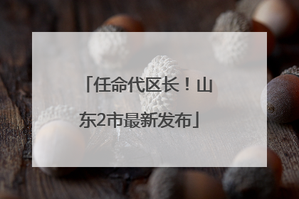 任命代区长！山东2市最新发布