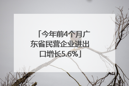 今年前4个月广东省民营企业进出口增长5.6%