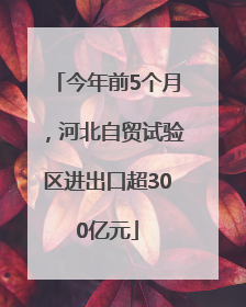 今年前5个月，河北自贸试验区进出口超300亿元