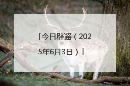 今日辟谣（2025年6月3日）