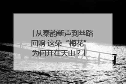 从秦韵新声到丝路回响 这朵“梅花”为何开在天山？