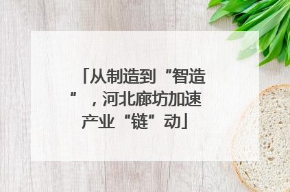 从制造到“智造”，河北廊坊加速产业“链”动