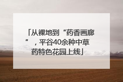 从裸地到“药香画廊”，平谷40余种中草药特色花园上线
