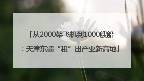 从2000架飞机到1000艘船：天津东疆“租”出产业新高地