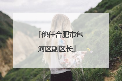 他任合肥市包河区副区长