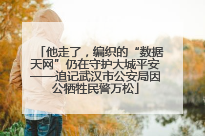 他走了，编织的“数据天网”仍在守护大城平安——追记武汉市公安局因公牺牲民警万松