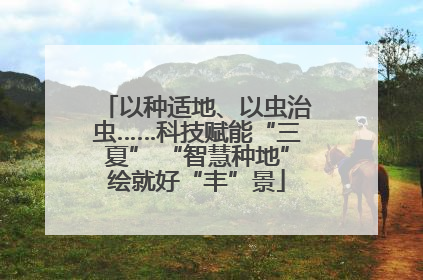 以种适地、以虫治虫……科技赋能“三夏” “智慧种地”绘就好“丰”景