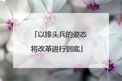 以排头兵的姿态将改革进行到底