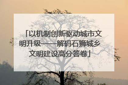 以机制创新驱动城市文明升级——解码石狮城乡文明建设高分答卷