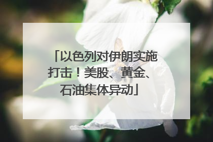 以色列对伊朗实施打击！美股、黄金、石油集体异动