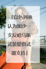 以色列承认为加沙一支反哈马斯武装提供武器支持
