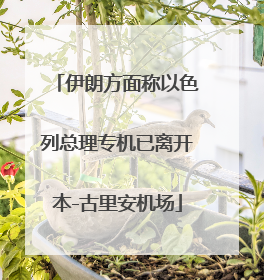 伊朗方面称以色列总理专机已离开本-古里安机场