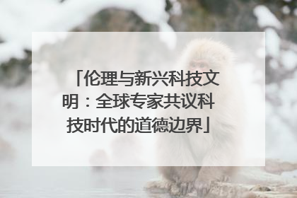 伦理与新兴科技文明：全球专家共议科技时代的道德边界
