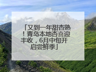 又到一年甜杏熟！青岛本地杏喜迎丰收，6月中旬开启尝鲜季