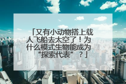 又有小动物搭上载人飞船去太空了！为什么模式生物能成为“探索代表”？