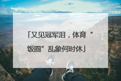 又见冠军泪，体育“饭圈”乱象何时休
