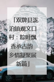 双牌县泷泊镇观文口村：粽叶飘香承古韵 乡情凝聚展新篇