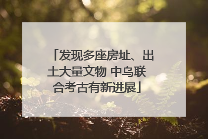 发现多座房址、出土大量文物 中乌联合考古有新进展