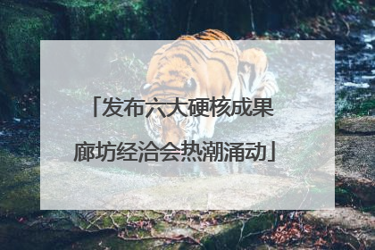 发布六大硬核成果 廊坊经洽会热潮涌动