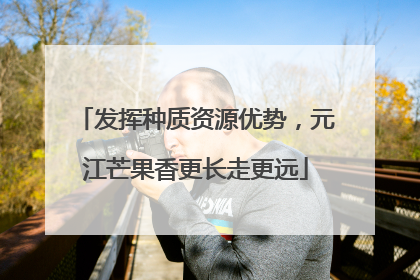 发挥种质资源优势，元江芒果香更长走更远