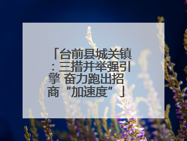 台前县城关镇：三措并举强引擎 奋力跑出招商“加速度”