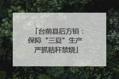 台前县后方镇：保障“三夏”生产 严抓秸秆禁烧