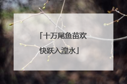 十万尾鱼苗欢快跃入湟水