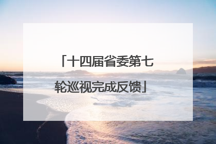十四届省委第七轮巡视完成反馈