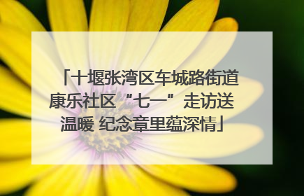 十堰张湾区车城路街道康乐社区“七一”走访送温暖 纪念章里蕴深情