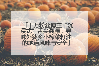 千万粉丝博主“沉浸式”舌尖溯源：寻味外婆乡小榨菜籽油的地道风味与安全