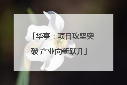 华亭：项目攻坚突破 产业向新跃升