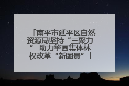 南平市延平区自然资源局坚持“三聚力” 助力擎画集体林权改革“新图景”