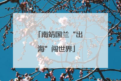 南靖国兰“出海”闯世界