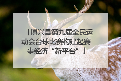 博兴县第九届全民运动会台球比赛构建起赛事经济“新平台”
