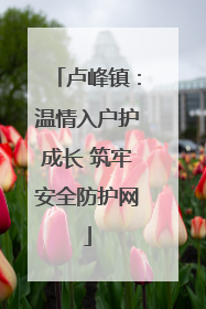 卢峰镇：温情入户护成长 筑牢安全防护网